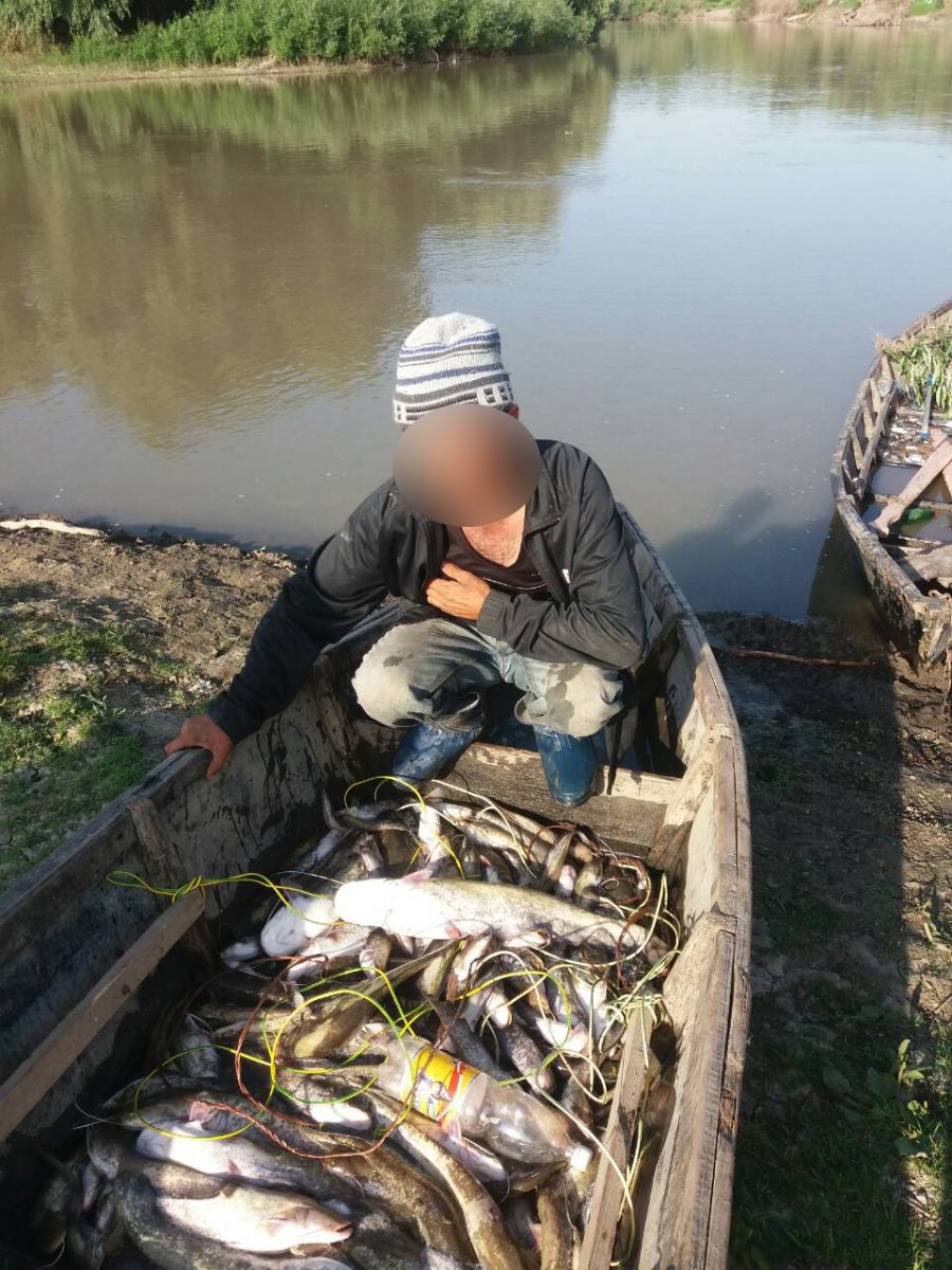 Cazuri de pescuit ilegal în apele râului Prut