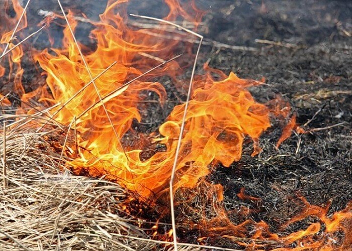 Focare de vegetație stinse de pompieri în zona de sud a țării