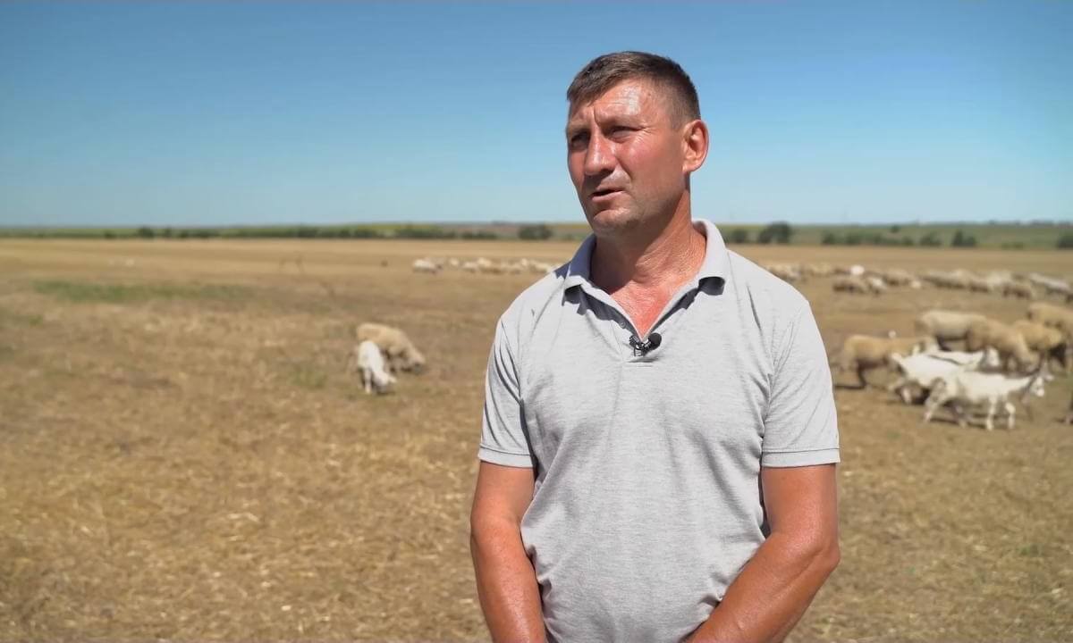 Oierul Stepan Sabia: „Această rasă este unică în Republica Moldova”