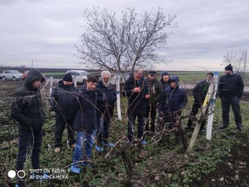 Seminar de instruire pentru producătorii de struguri de masă din raionul Cahul
