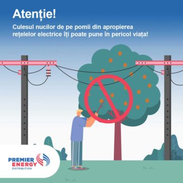 Atenție: culesul nucilor de pe pomii din apropierea rețelelor electrice este extrem de periculos. Respectați cu strictețe regulile de securitate!